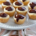 Mini shortbread cookie cups topped with glossy chocolate sauce on a white plate, reminiscent of a delightful Boston Cream Pie Cookie.