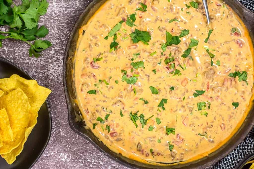 A skillet filled with creamy cheese dip with chunks of tomatoes and herbs, garnished with cilantro. A bowl of tortilla chips is on the side.