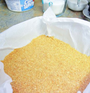 Crushed graham crackers spread in a parchment-lined baking dish on a kitchen counter, with containers in the background.