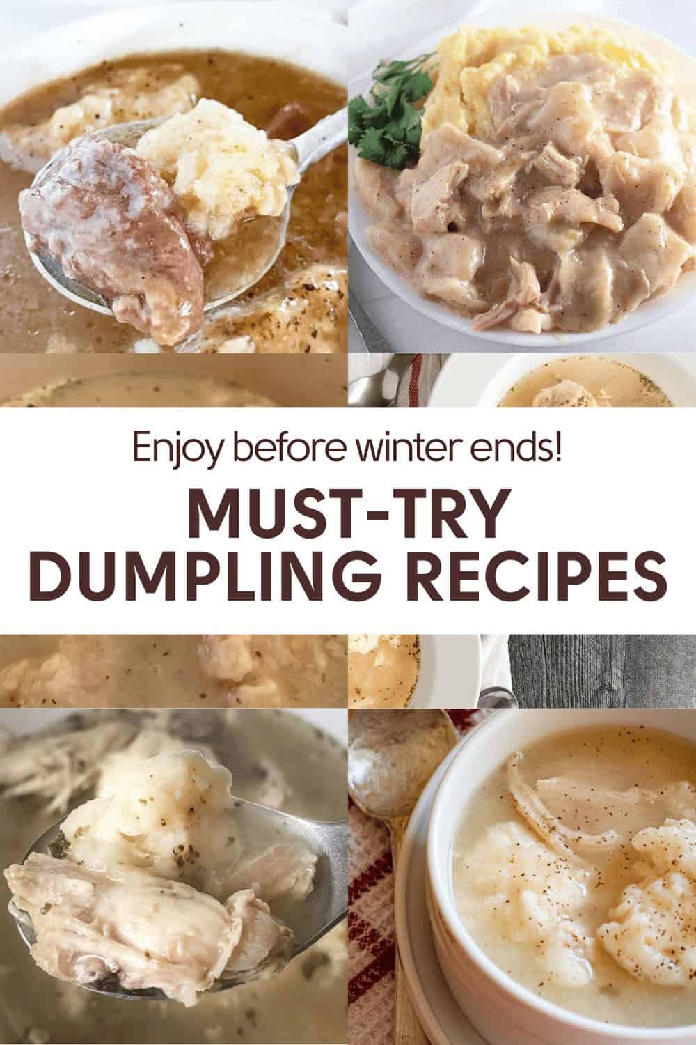 Collage of various dumpling dishes with gravy and text: "Enjoy before winter ends! Must-try dumpling recipes.
