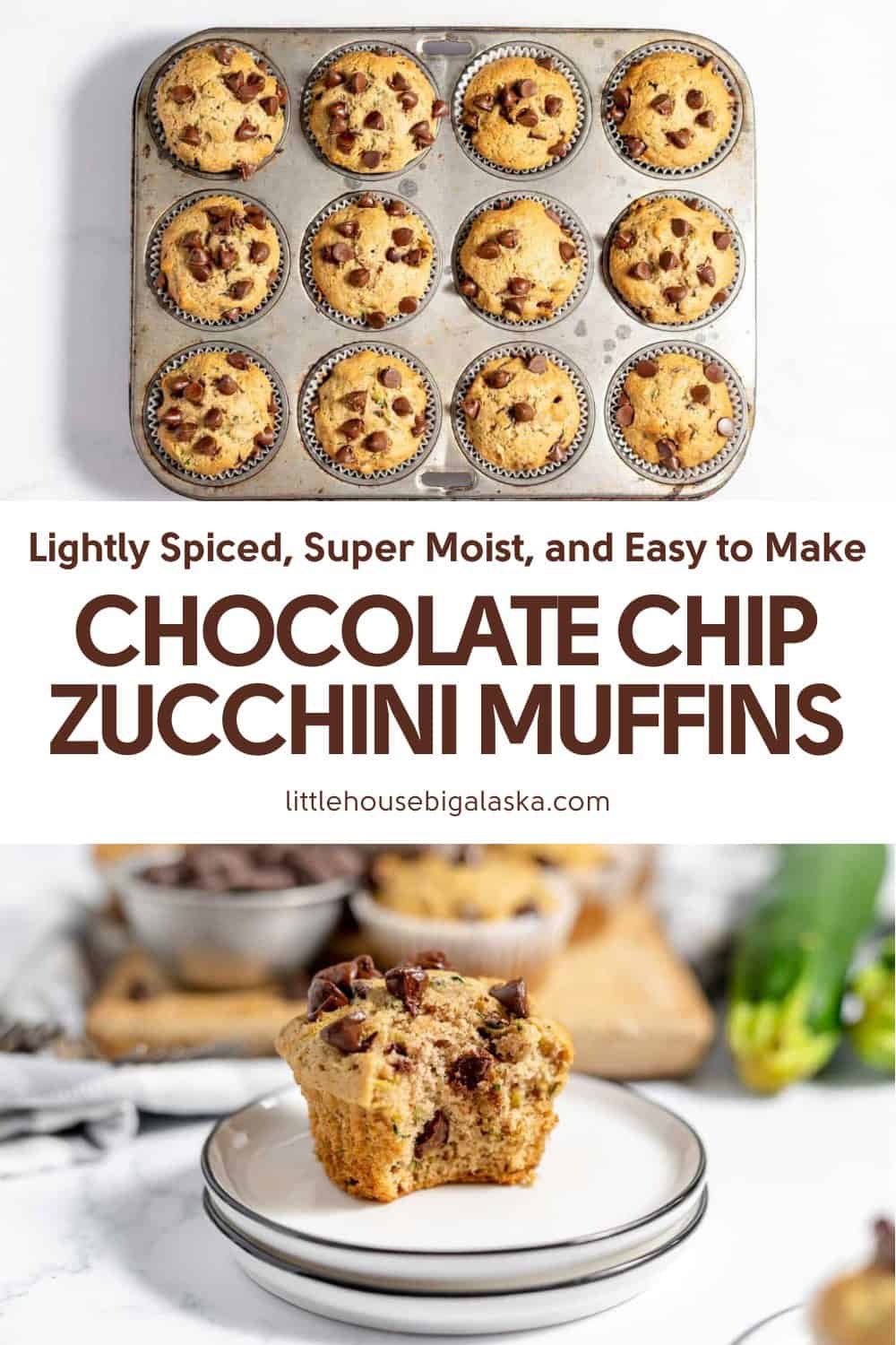 A muffin tin with twelve chocolate chip zucchini muffins and a plated muffin with a bite taken out, displaying a moist interior with chocolate chips.