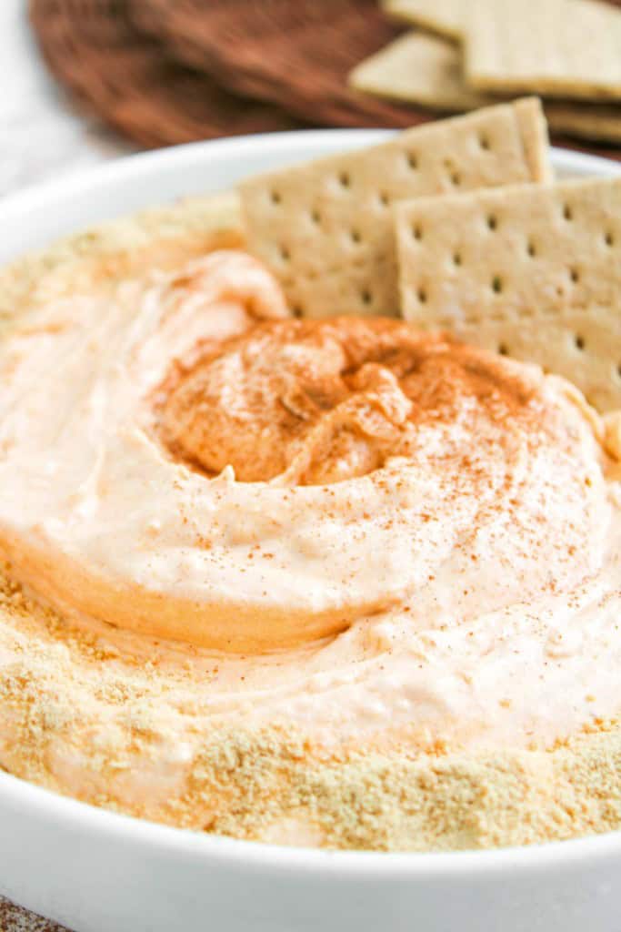 A white bowl filled with a creamy dip, topped with a dusting of paprika and cracker crumbs, with several rectangular crackers placed in the dip.