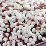 A baking sheet covered with mini marshmallows and pecan halves arranged in a single layer.