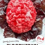 A red gelatin dessert shaped like a brain sits on dark red lettuce leaves, with the text "Bloody Brain Gelatin" and a website URL at the bottom.