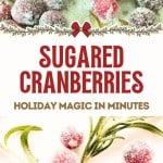 Sugared Cranberries coated in granulated sugar are displayed on a surface, with festive text promoting this quick holiday treat. Some of the sugared cranberries are arranged with green twigs for a cheerful, seasonal touch.