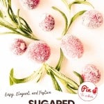 Sugared Cranberries and fresh rosemary sprigs arranged on a white background, with text highlighting an easy, elegant, and festive Sugared Cranberries recipe.
