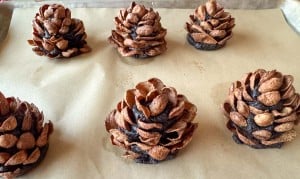 Six realistic Chocolate Pinecone Truffles sit on parchment paper, arranged neatly on a baking tray.