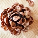 A close-up of Chocolate Pinecone Truffles, shaped like pine cones with overlapping, browned layers resembling scales, displayed on a parchment-lined surface.