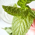 A close-up of a hand holding fresh mint leaves, with a glass bowl and another mint leaf in the blurred background.