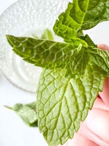 A close-up of a hand holding fresh mint leaves, with a glass bowl and another mint leaf in the blurred background.