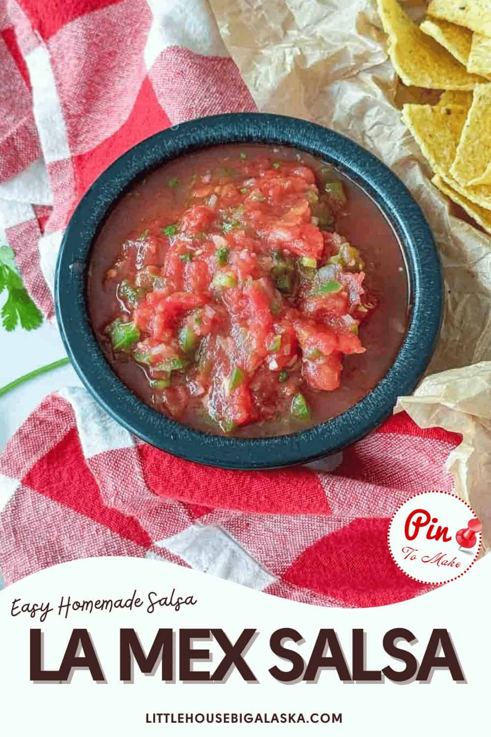 A black bowl filled with chunky homemade La Mex Salsa sits on a red and white checkered cloth next to crispy tortilla chips.
