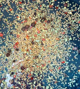 A mixture of whole spices, including coriander seeds, fennel seeds, peppercorns, and dried herbs, scattered on a dark surface.