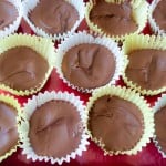 Rows of homemade chocolate cups in white paper liners are arranged closely together on a red surface.
