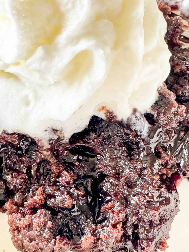 A close-up of a chocolate cherry dessert topped with a swirl of whipped cream.
