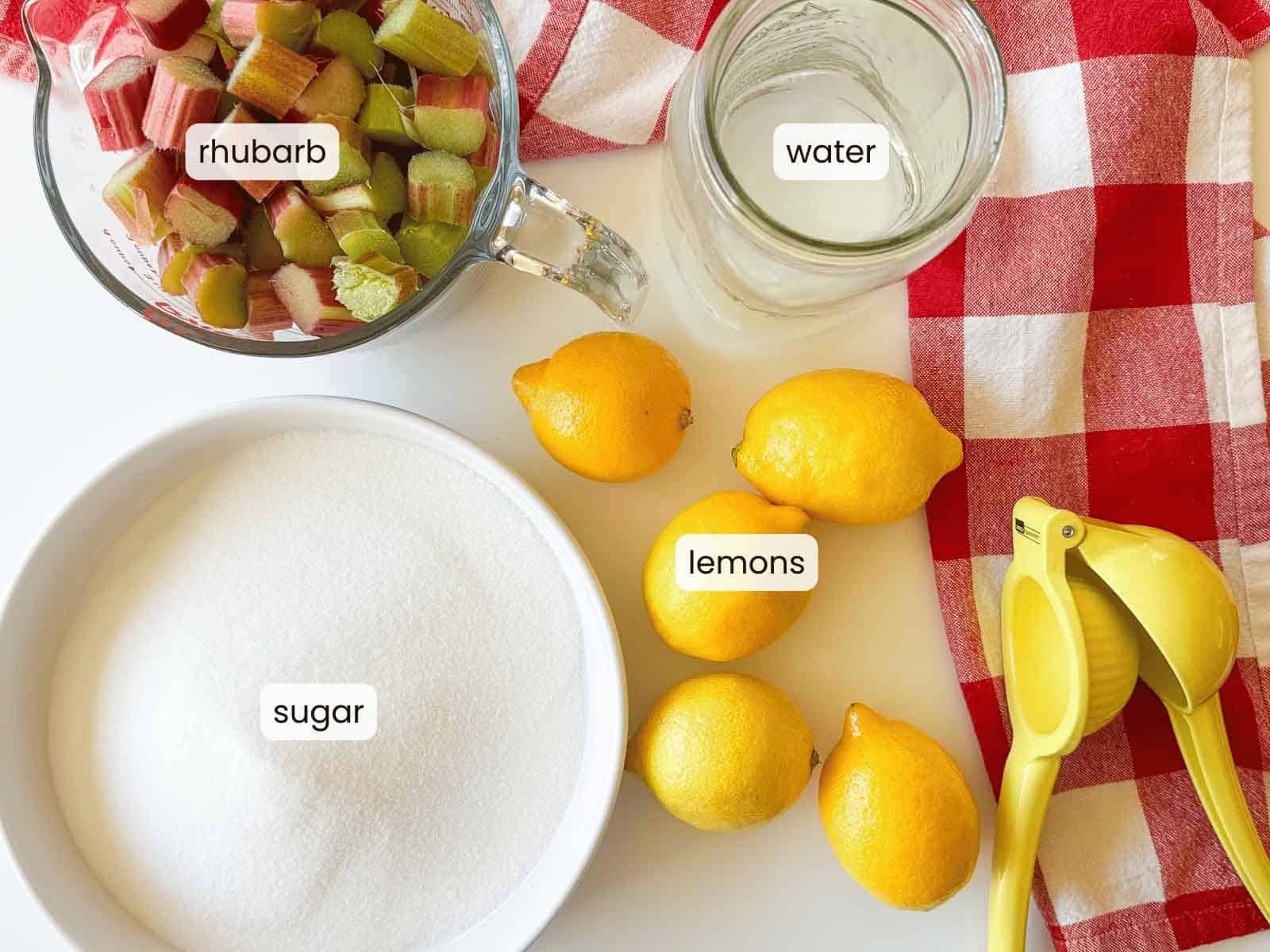 Rhubarb, a jar of water, lemons, a bowl of sugar, and a yellow juicer for making rhubarb lemonade are arranged on a red and white checkered cloth. Each item is labeled.