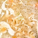 Close-up of easy chicken noodle soup with shredded chicken, noodles, diced carrots, celery, and herbs in a clear broth.