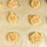 Rows of unbaked peanut butter cookies with characteristic fork-pressed crosshatch patterns on parchment paper.